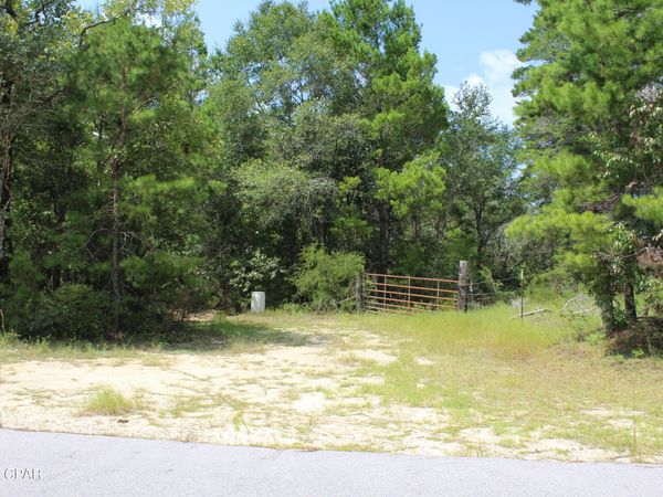 TBD New Jerusalem Road, Vernon, FL 32462