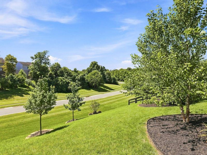 1545 Caledonia Court, Hebron, KY 41048 Photo 48