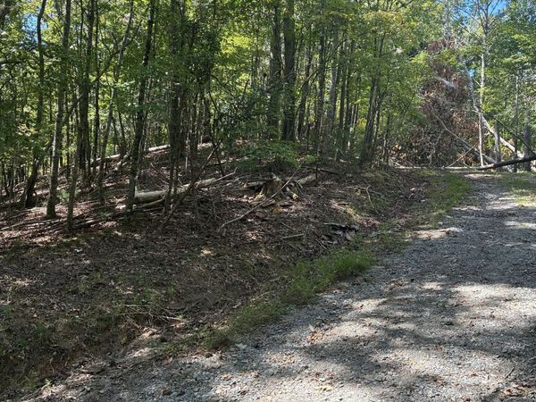 0 Miramar Drive, Ellijay, GA 30540
