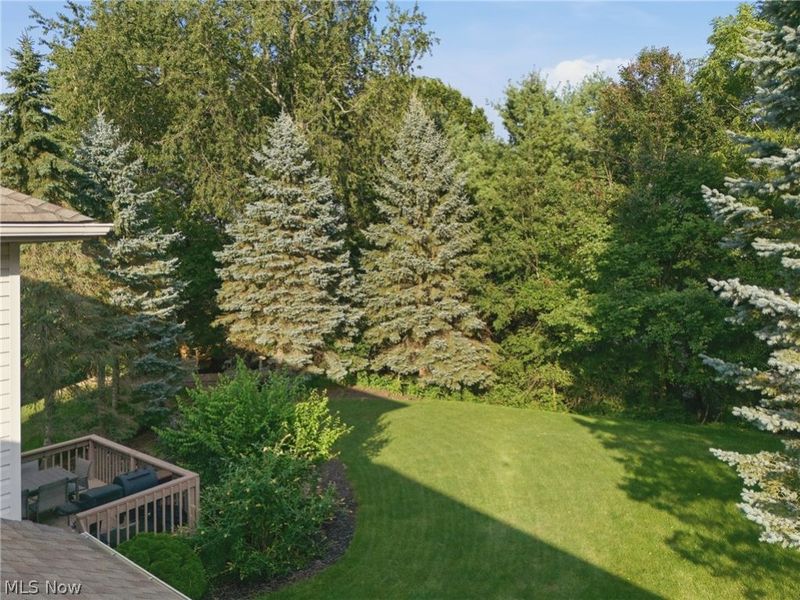 6224 Sandy Ridge Circle NW, North Canton, OH 44720 Photo 5