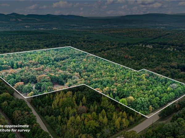 4716 River Mountain Road , Delaware, AR 72835