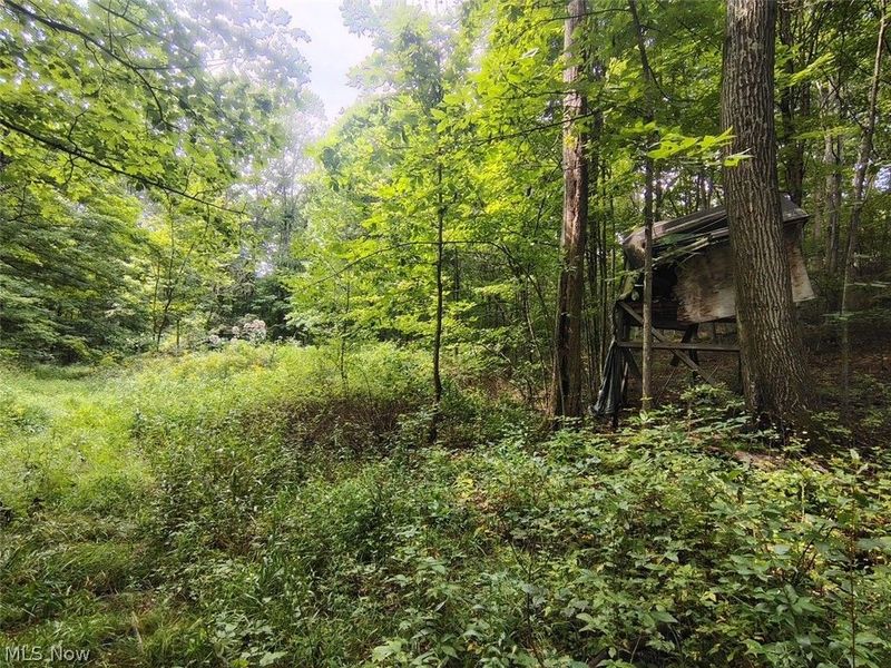 16786 Roses Run Road, Salineville, OH 43945 Photo 8