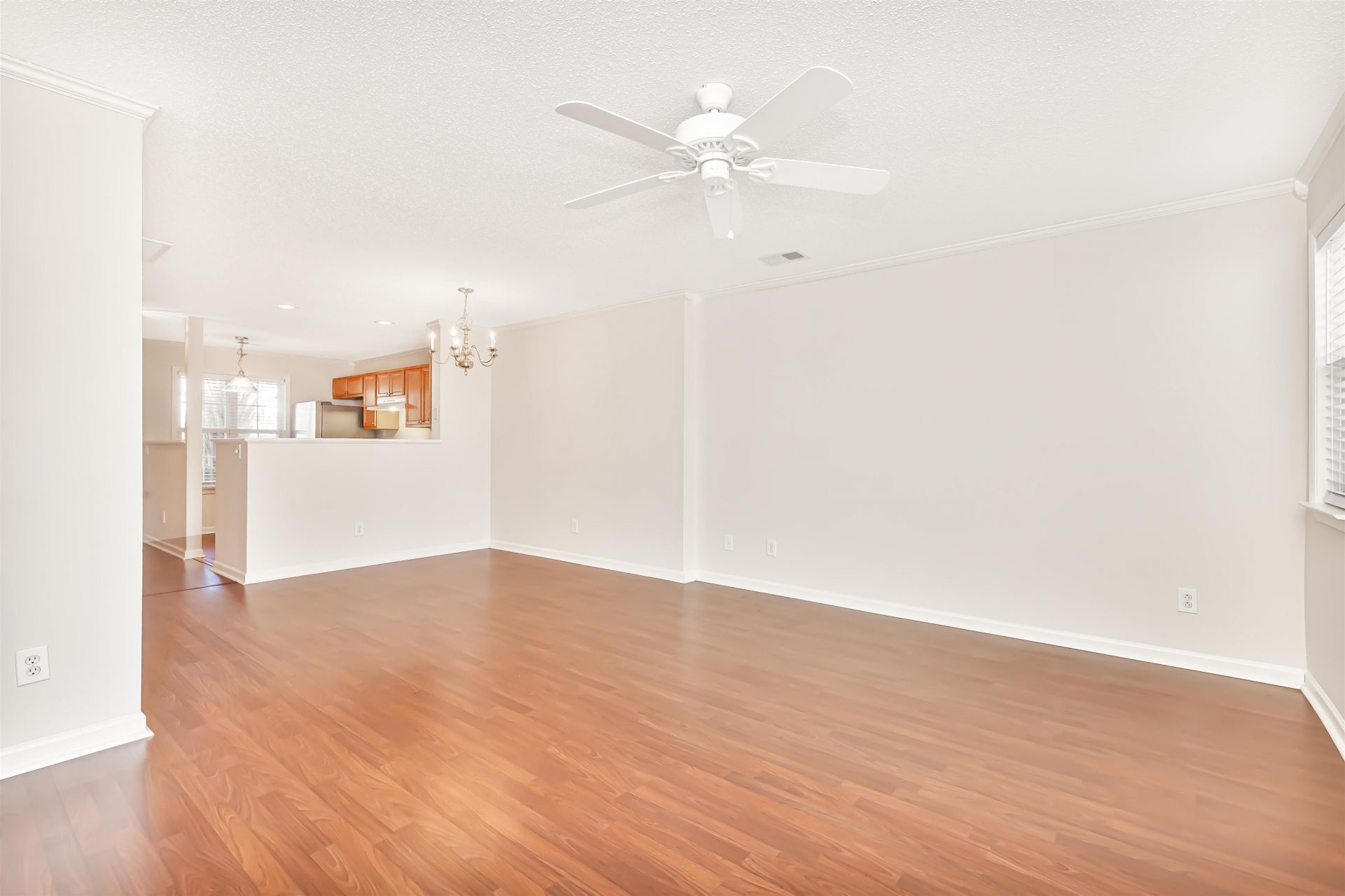 3555 Crepe Myrtle Ct. Photo 15