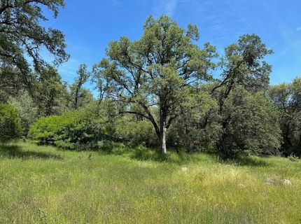 Lot 3 Yorkshire Drive , Penn Valley, CA 95946 Photo