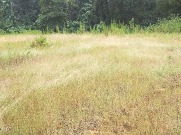 3442 Phelps Road, Courtland, MS 38620
