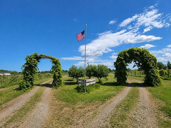 40306 Torchlight Road, Isle, MN 56342