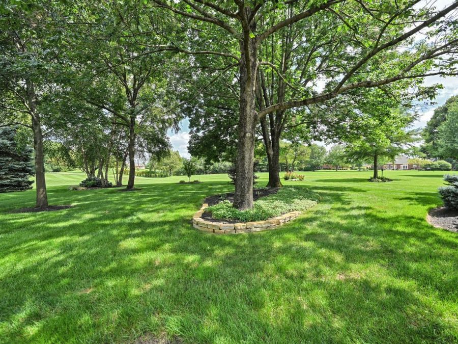 Property Image 73