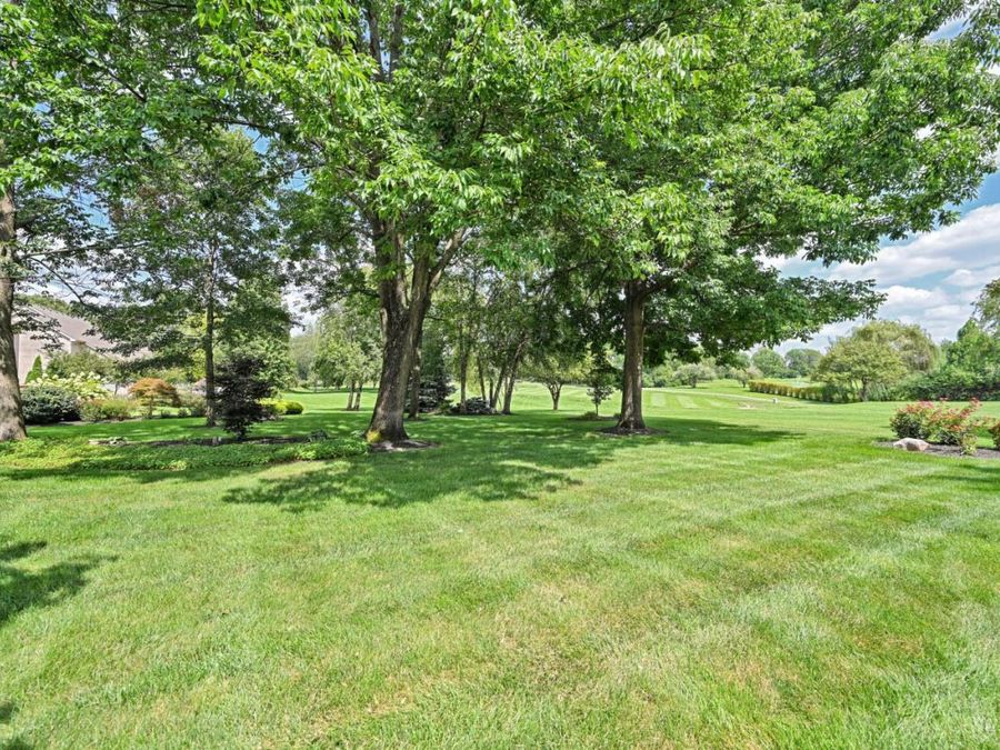 Property Image 74