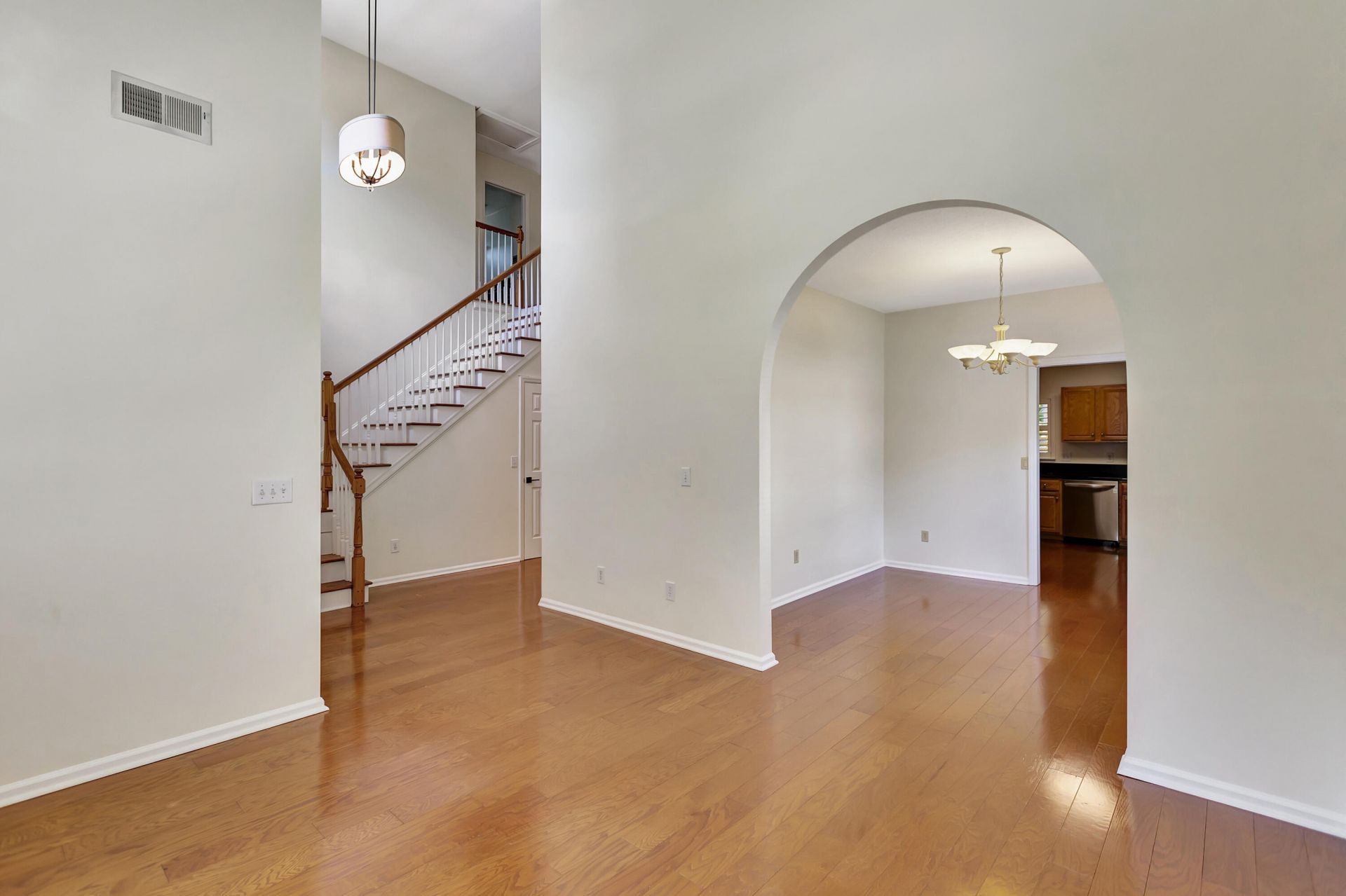 1336 Wild Olive Drive Photo 6