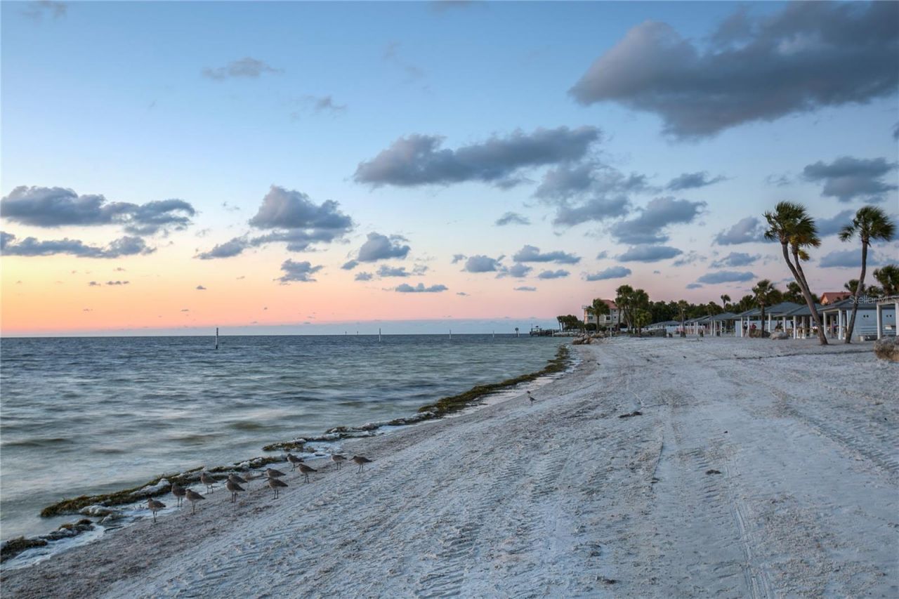 4812 Jasper Drive , Unit 101, New Port Richey, FL 34652 Photo