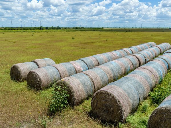0 Cr 647, Mathis, TX 78368