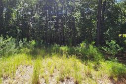 5863 Miley Hill Road photo 4