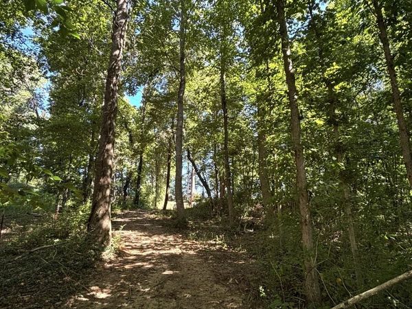 388 W Toomey Lane , Madisonville, TN 37354