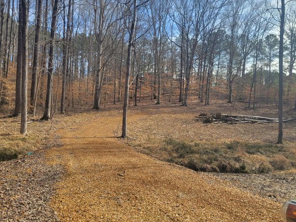 181 VALLEY OAK DRIVE , Buchanan, TN 38222