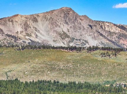 1531 Cree Street, South Lake Tahoe, CA 96150 Photo