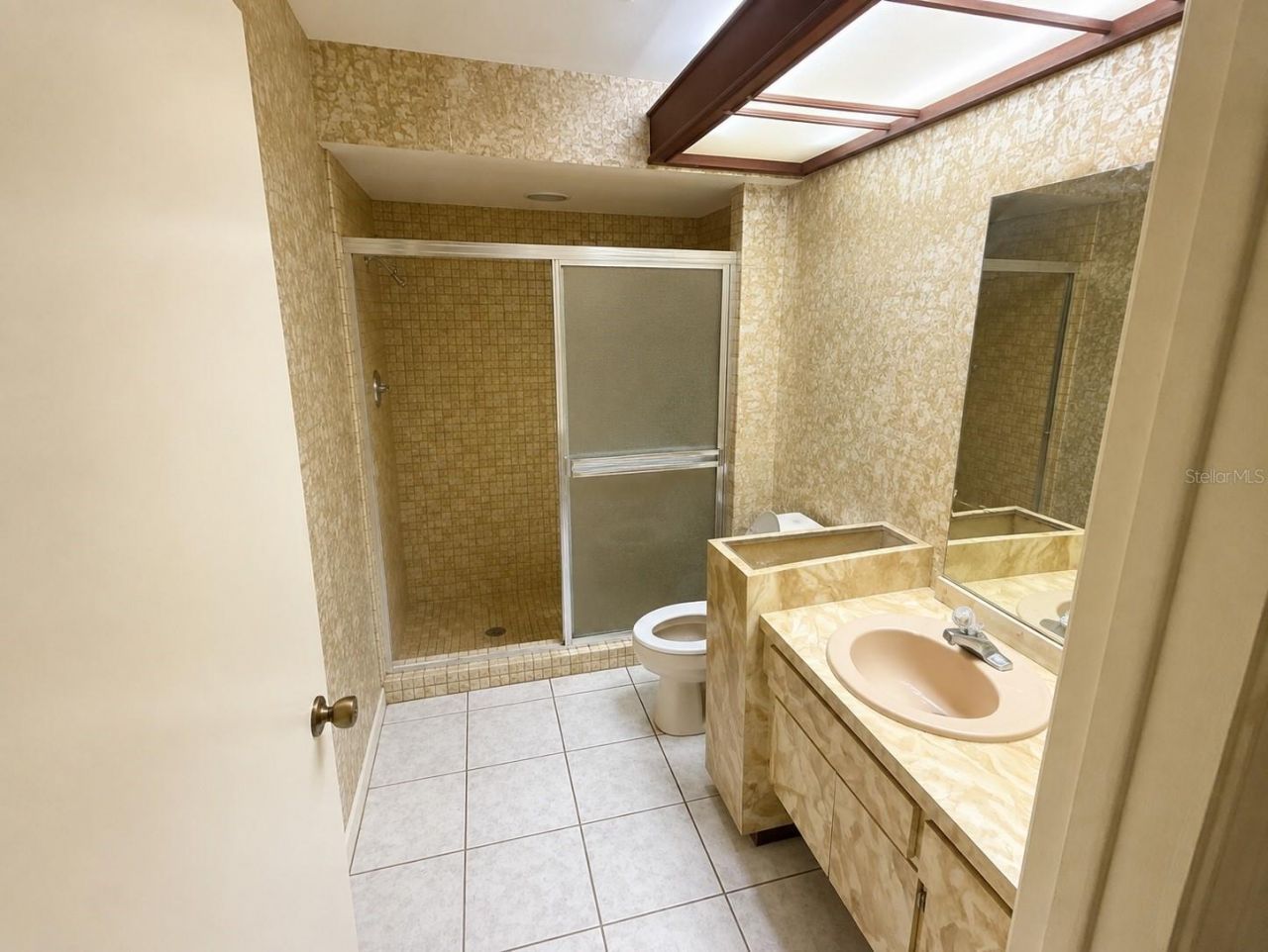 6701 Pemberton View Drive, Seffner, FL 33584 Photo