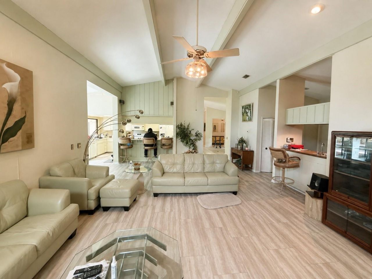 6701 Pemberton View Drive, Seffner, FL 33584 Photo