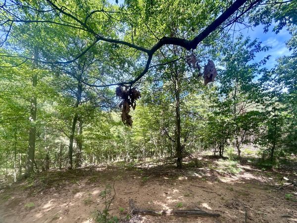 148th Avenue, Holland, MI 49424