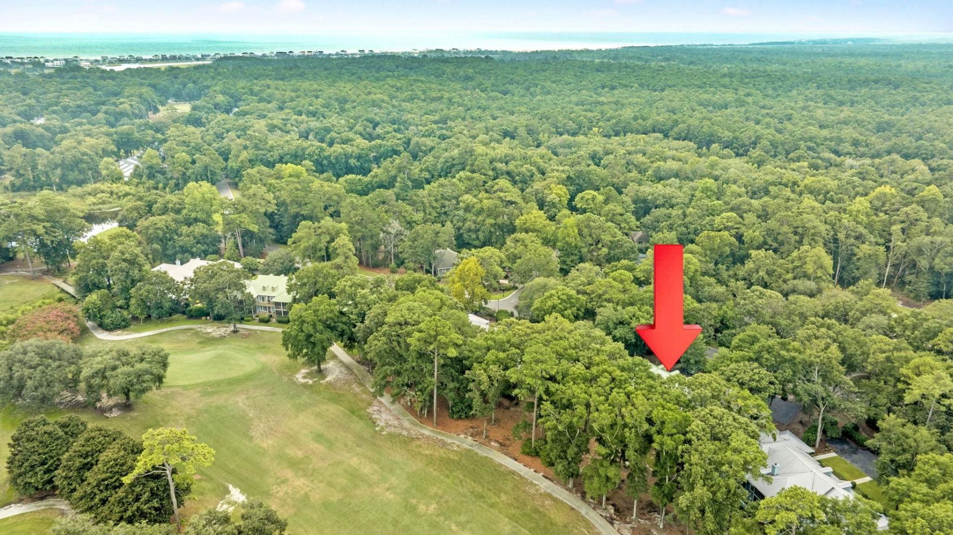 273 Golden Bear Dr. Photo 37