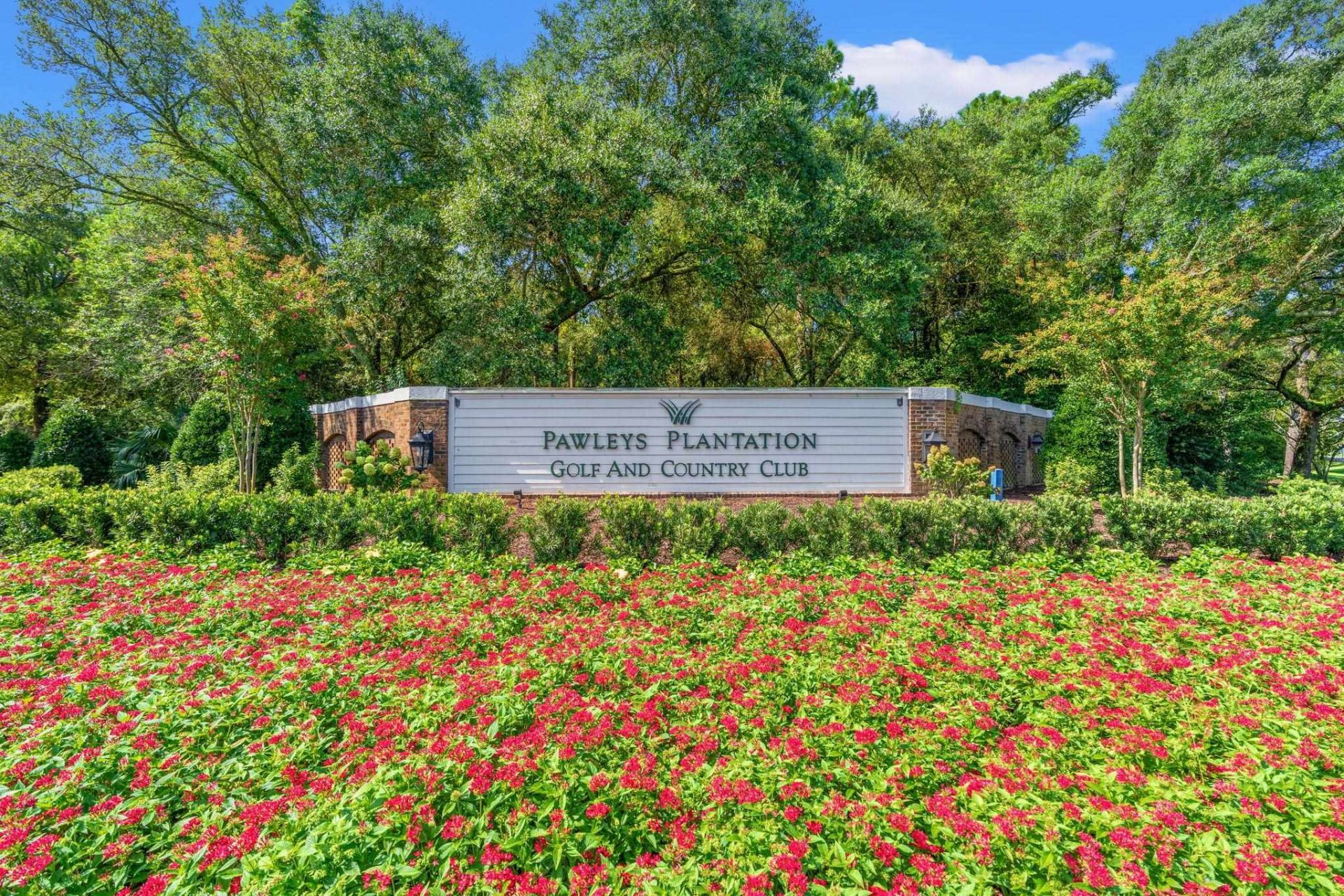 273 Golden Bear Dr. Photo 4
