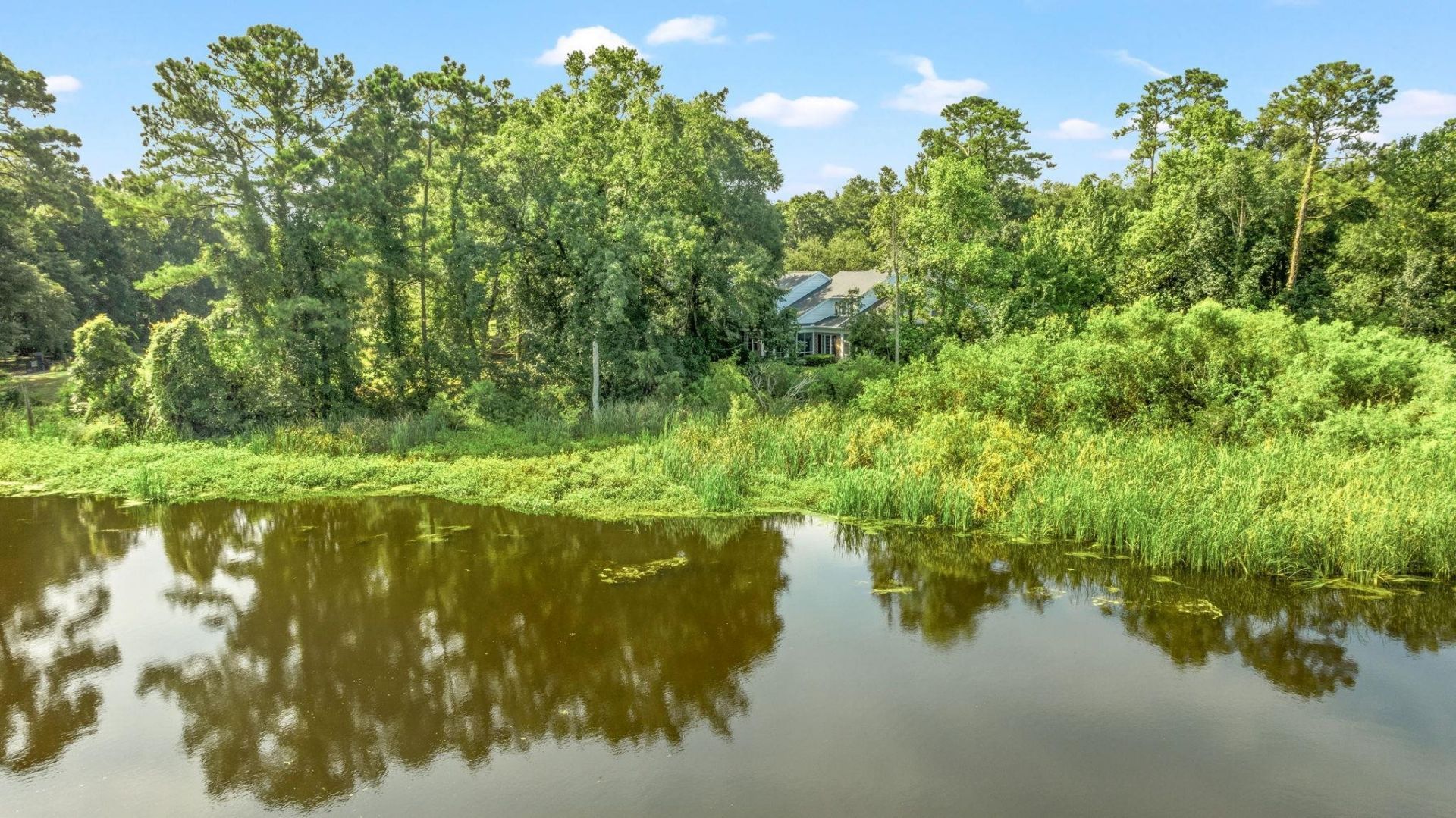 273 Golden Bear Dr. Photo 50