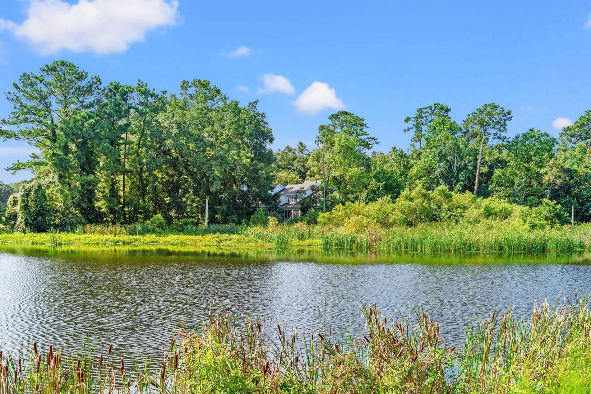 273 Golden Bear Dr. Photo 53