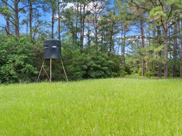 TBD (Tracts 11 & 12) St Delight RD, Paige, TX 78659