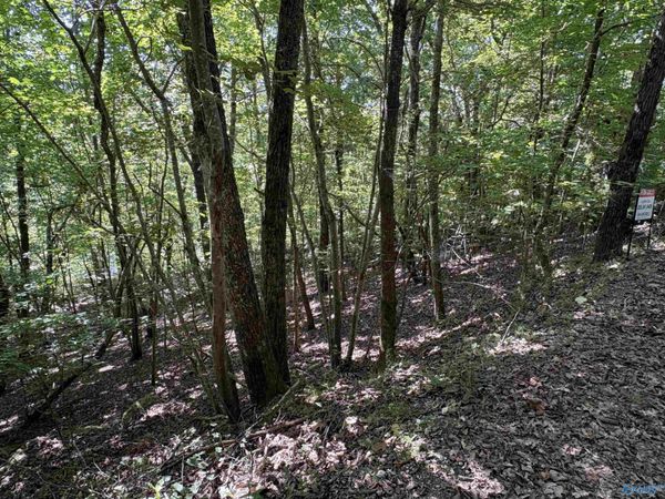 1500 County Road 103, Unit Lot 81, Mentone, AL 35984
