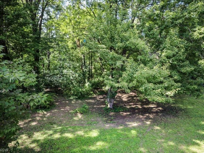 543 Brush Road, Ravenna, OH 44266 Photo 35