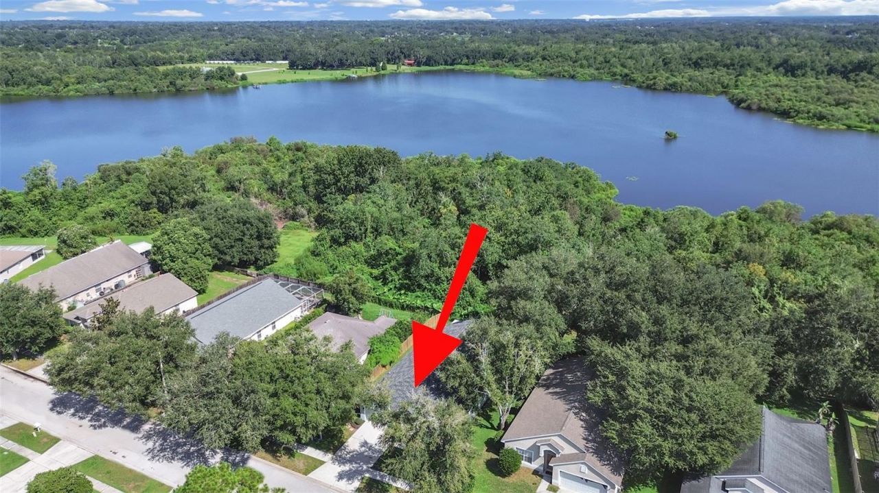1423 Lake Shore Ranch Drive, Seffner, FL 33584 Photo