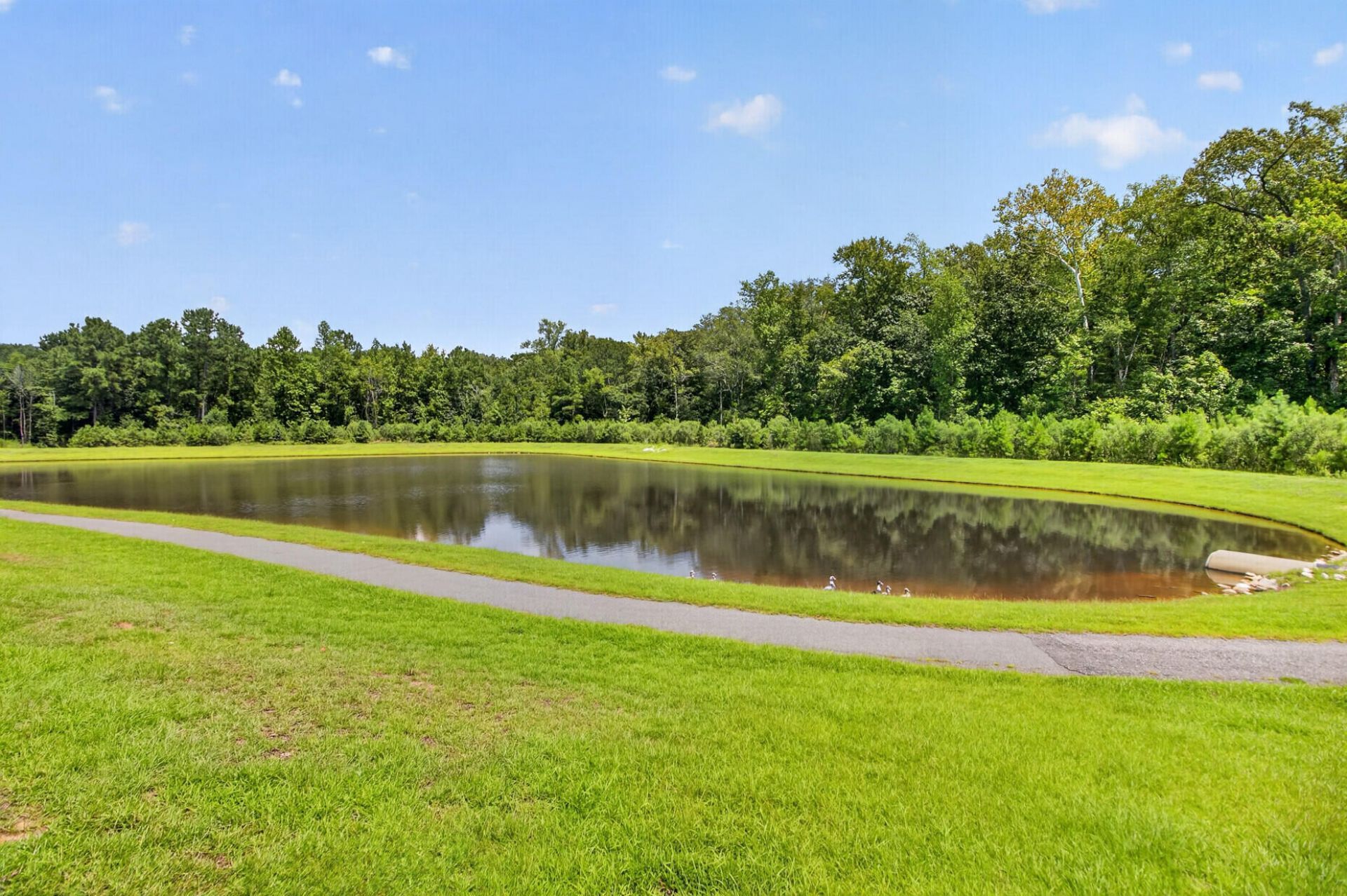 246 Torslanda Lane Photo 41