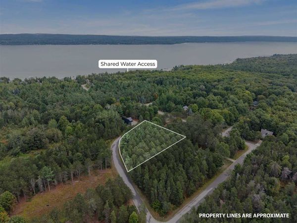 Bridge Dr, East Jordan, MI 49727