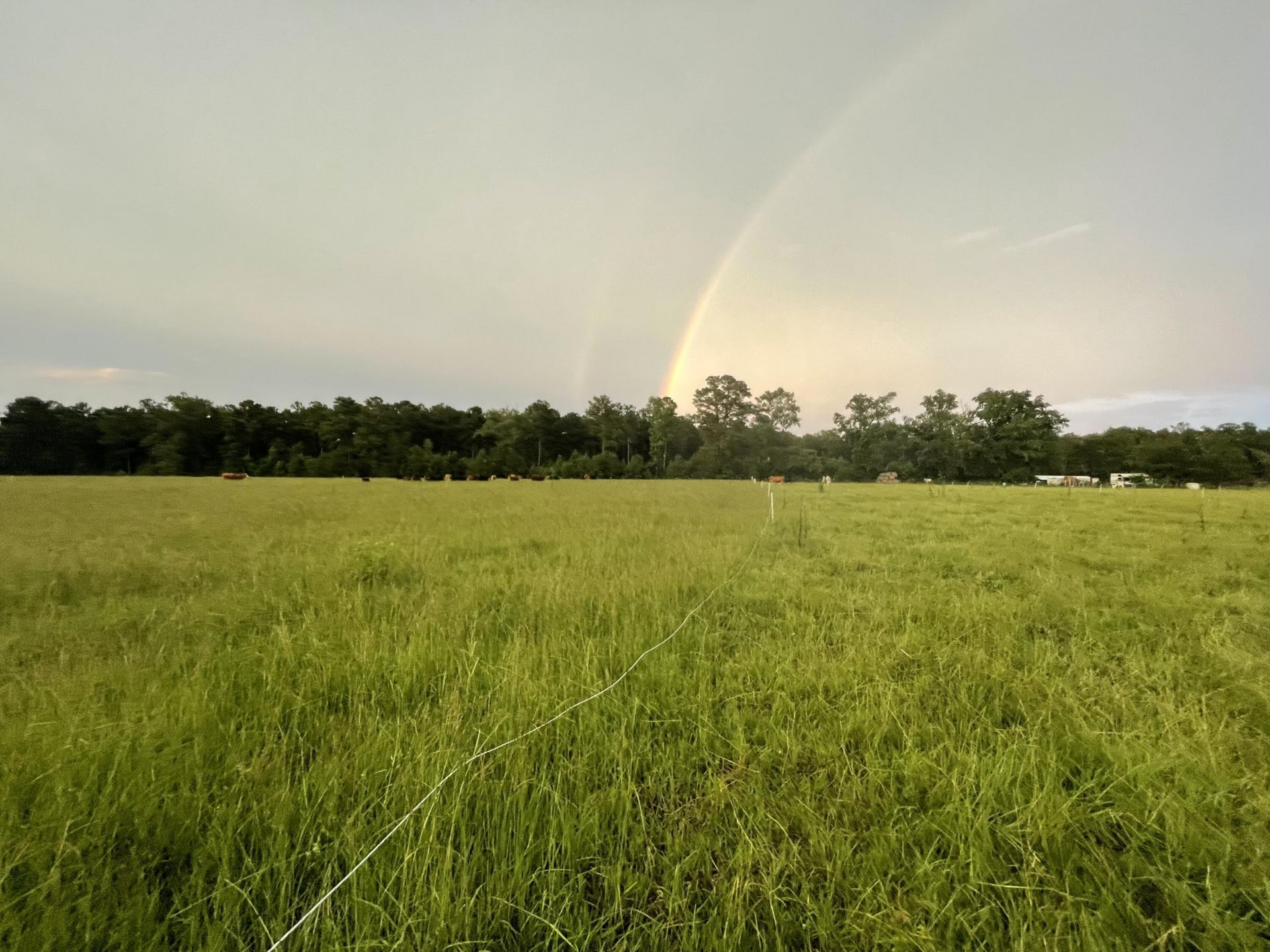 1647 Smoak Road Photo 14