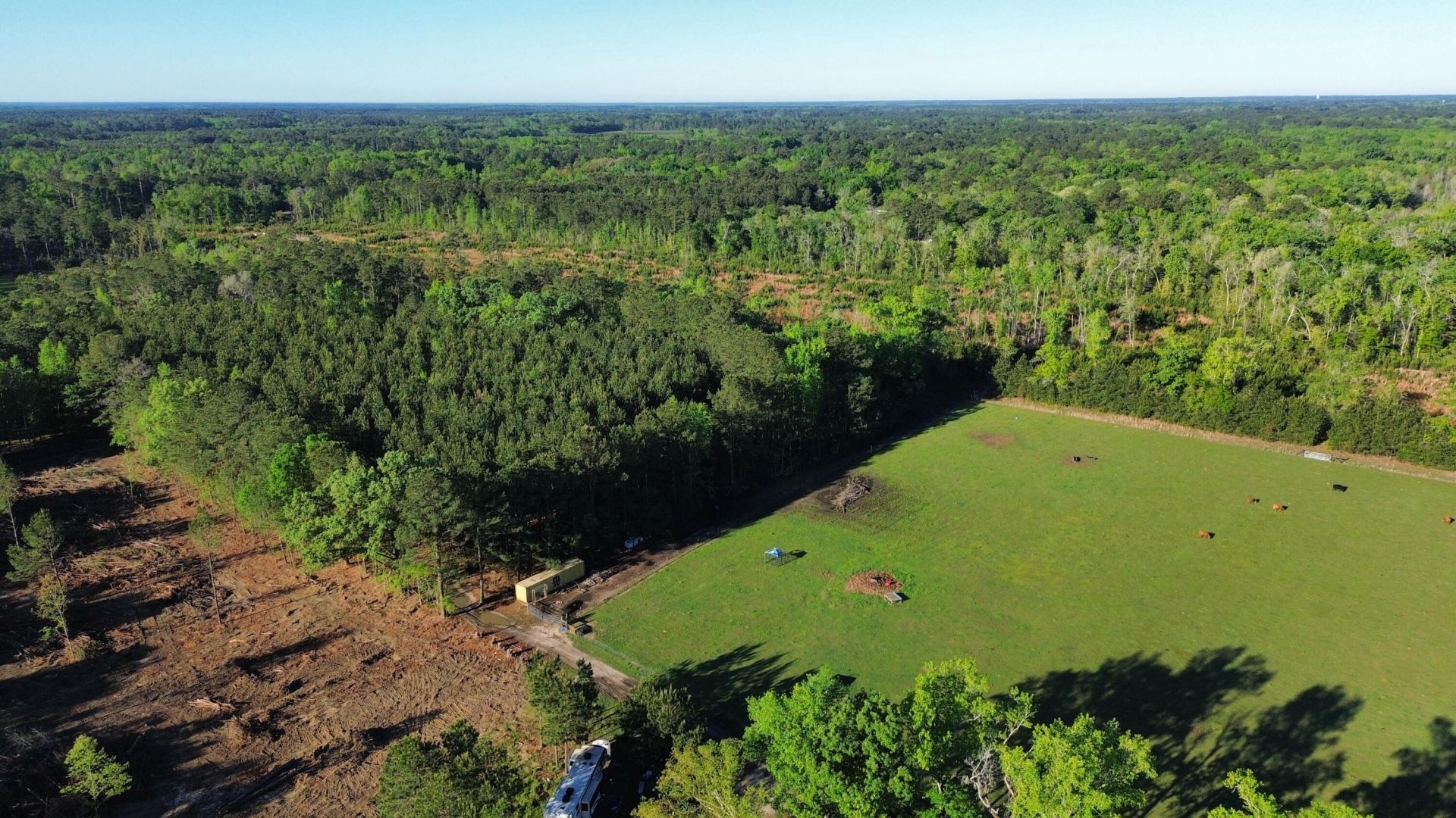 1647 Smoak Road Photo 17