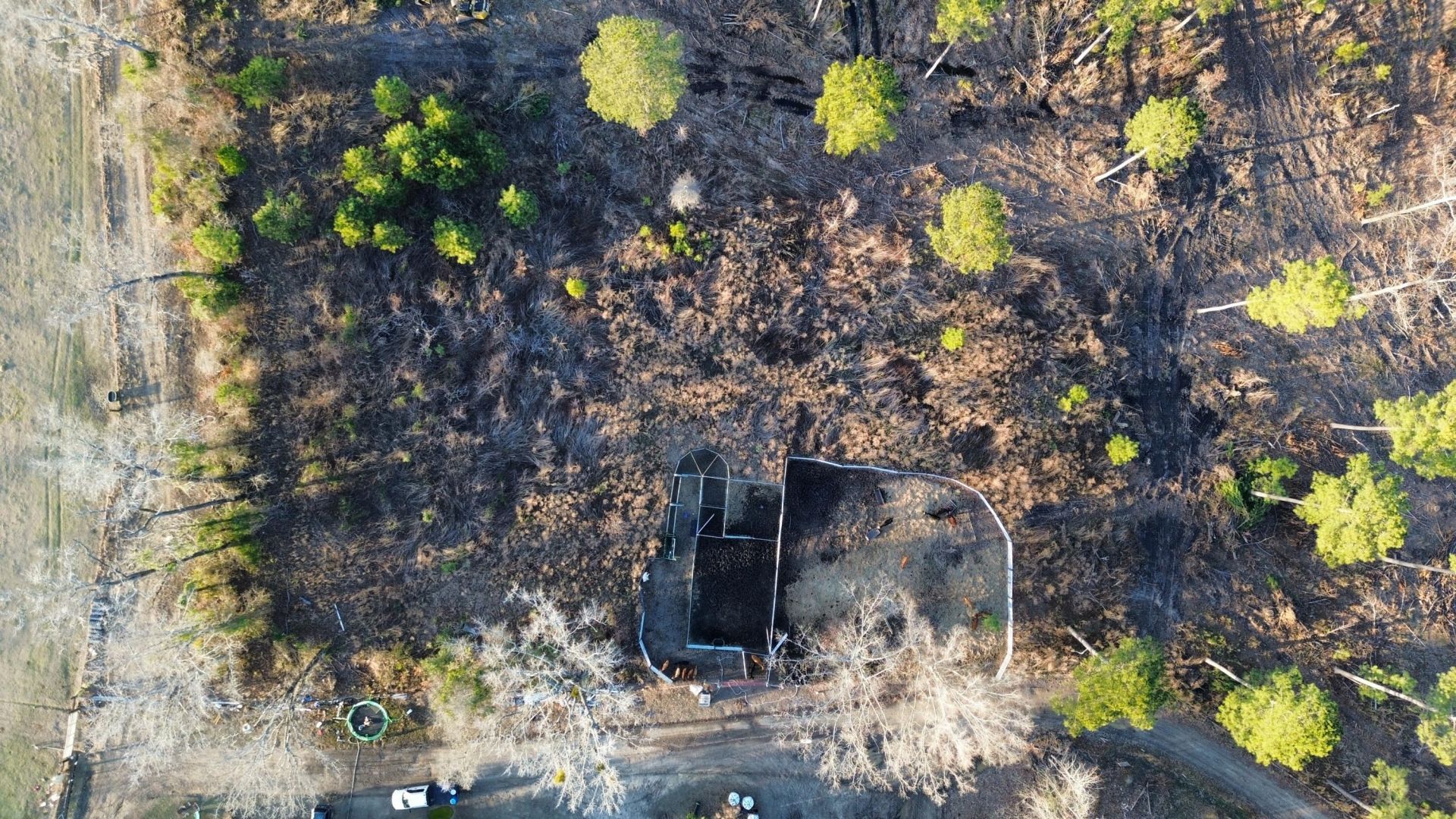 1647 Smoak Road Photo 22