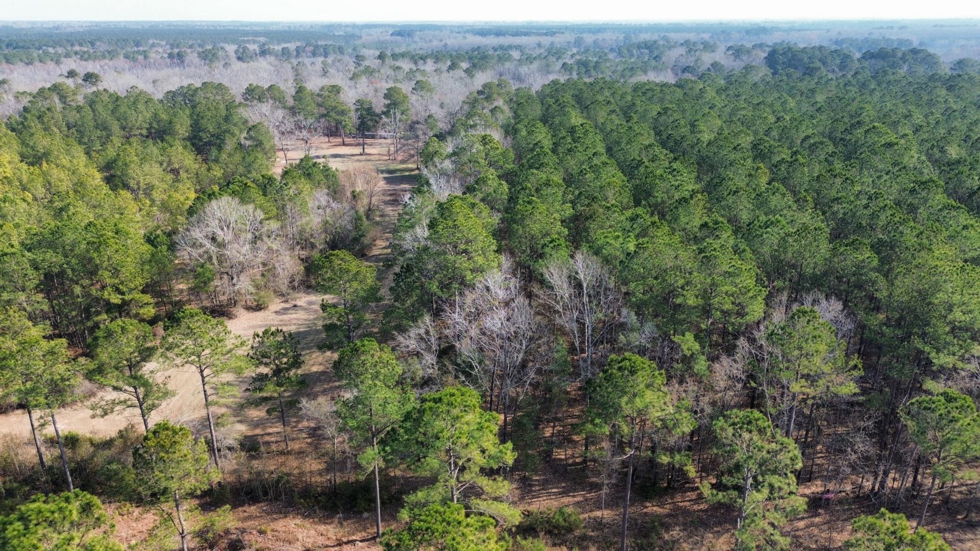 1647 Smoak Road Photo 26