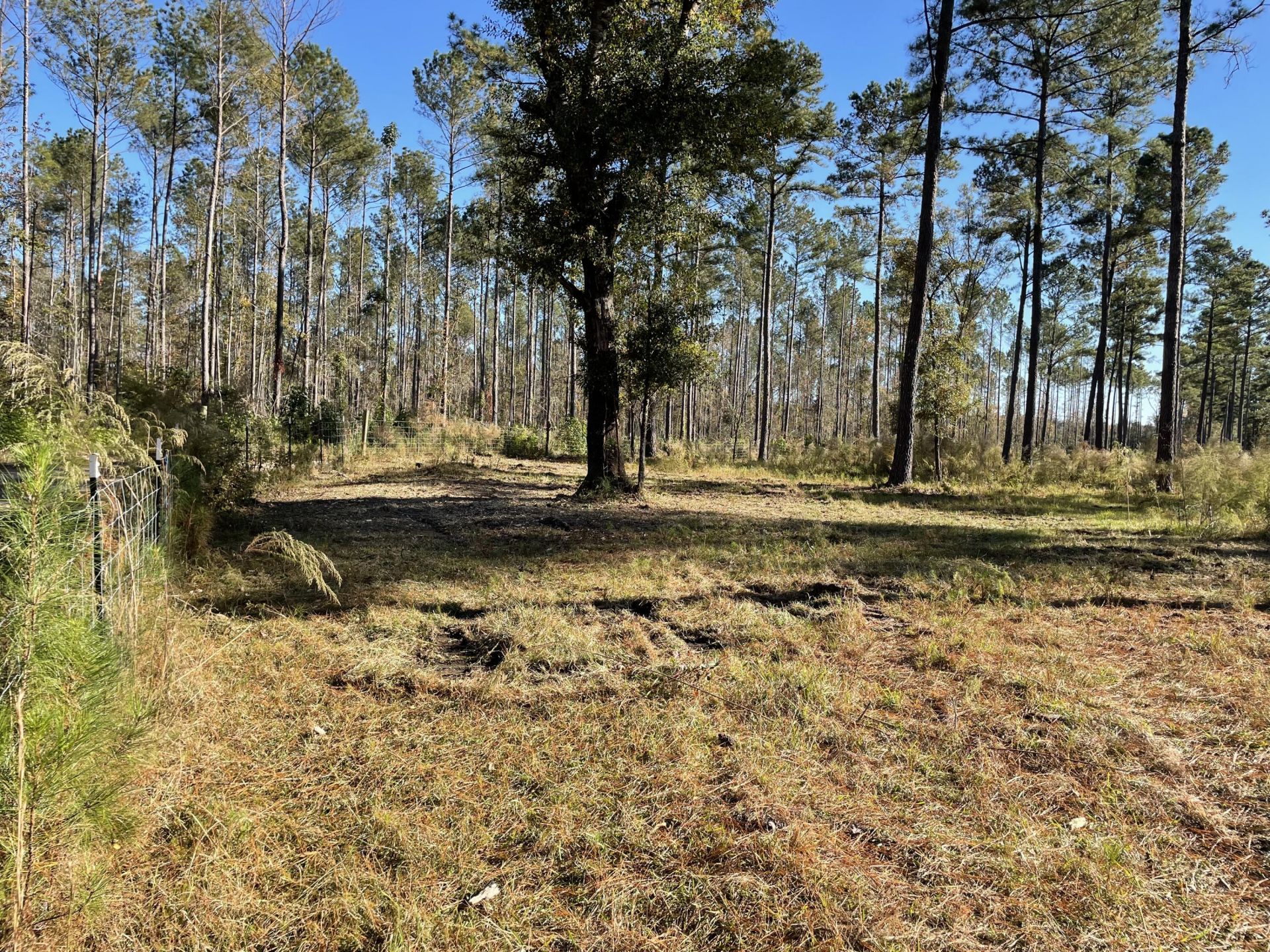 1647 Smoak Road Photo 31