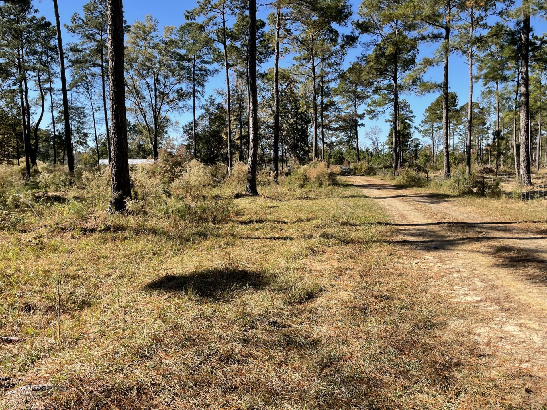 1647 Smoak Road Photo 32