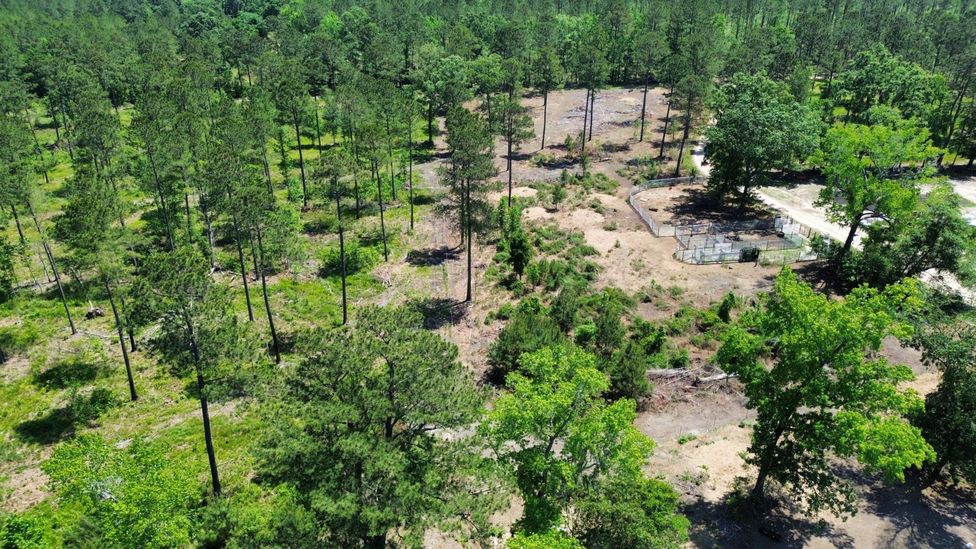 1647 Smoak Road Photo 33
