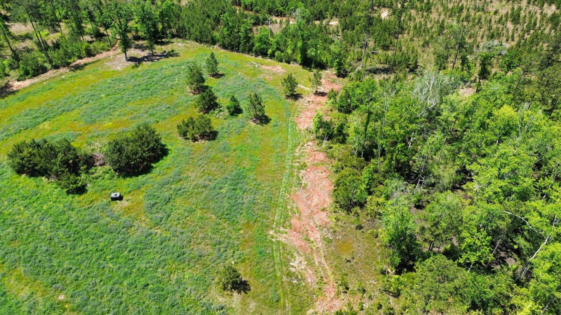 1647 Smoak Road Photo 35