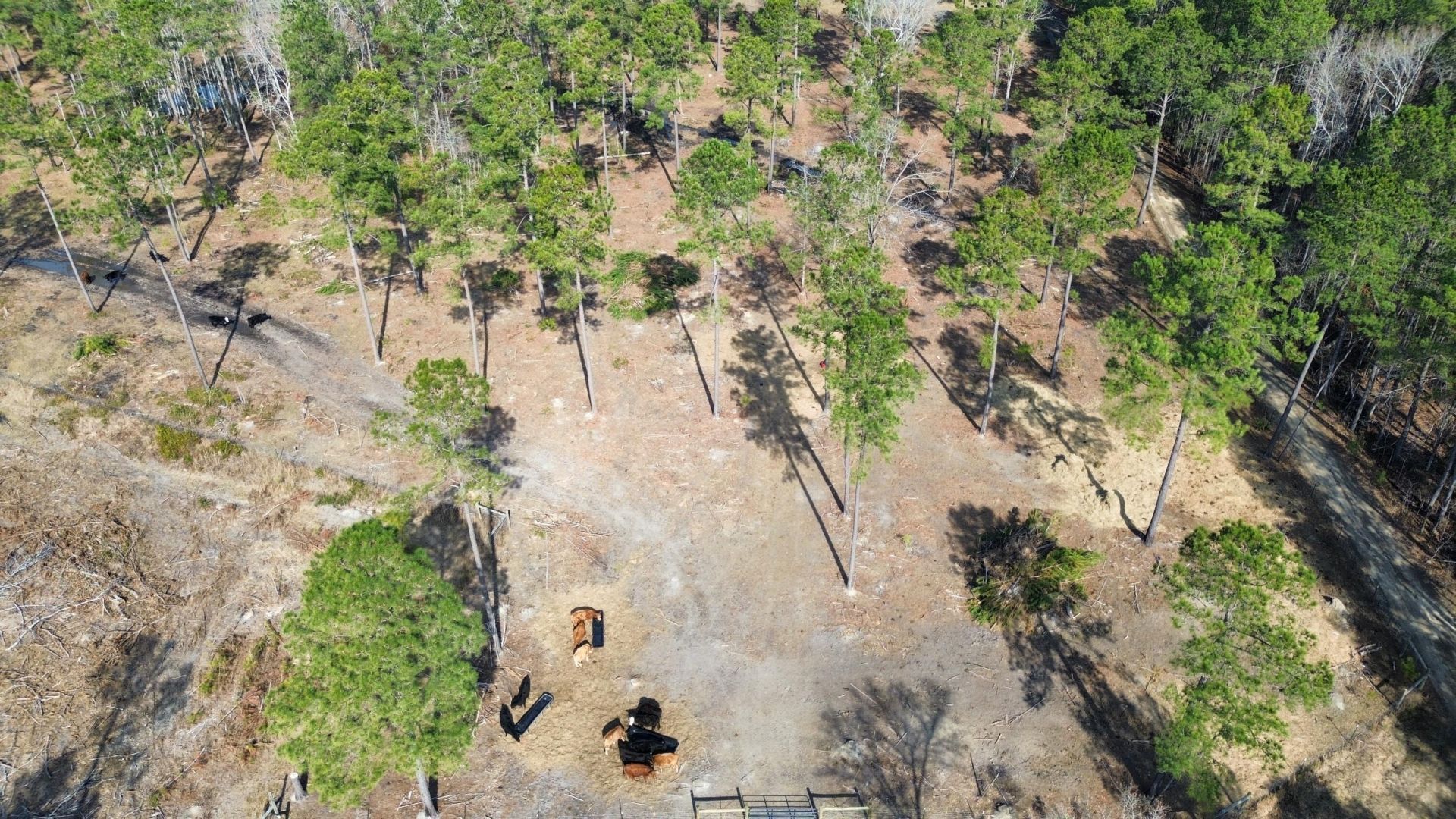 1647 Smoak Road Photo 37