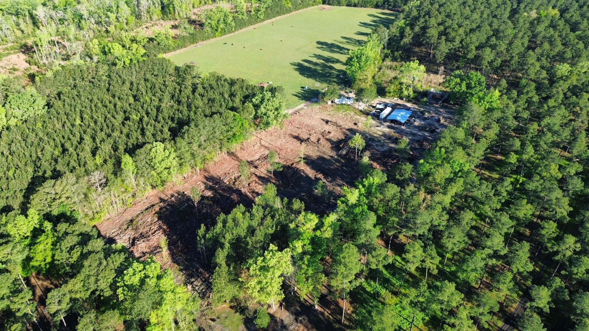 1647 Smoak Road Photo 8
