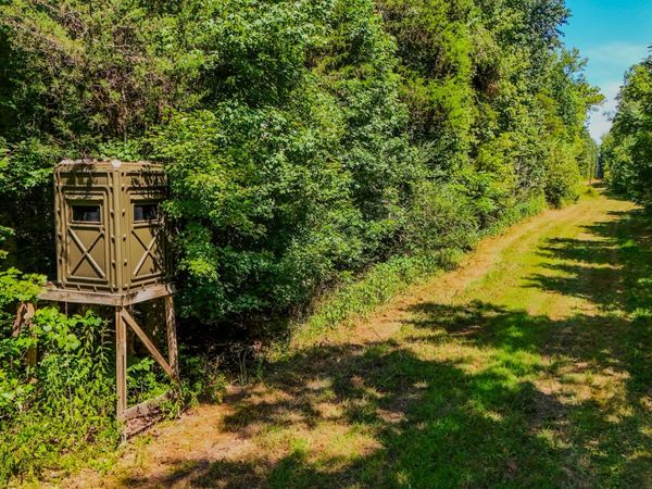 2195 Whiteoak Rd E, Clifton, TN 38425