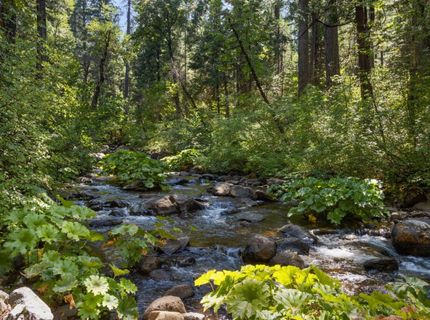 12625 Zeibright Rd, Nevada City, CA 95959 Photo