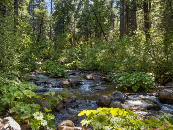 12625 Zeibright Rd, Nevada City, CA 95959
