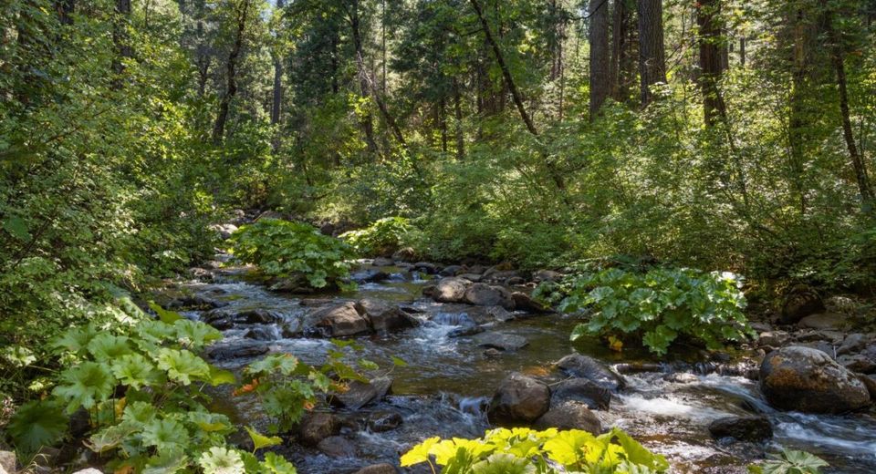 12625 Zeibright Rd, Nevada City, CA 95959 Photo