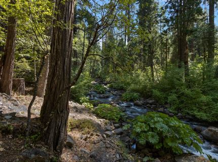 12625 Zeibright Rd, Nevada City, CA 95959 Photo