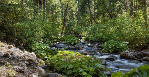 12625 Zeibright Rd, Nevada City, CA 95959 Photo