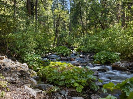 12625 Zeibright Rd, Nevada City, CA 95959 Photo