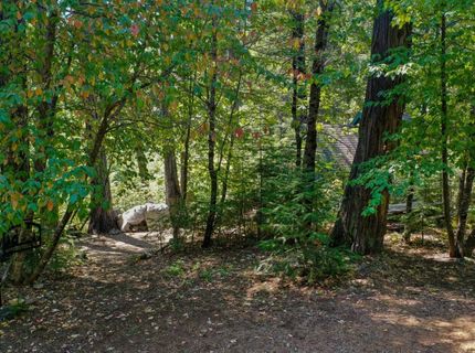 12625 Zeibright Rd, Nevada City, CA 95959 Photo